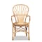 Baxton Studio Sheraton Modern and Contemporary Natural Finished Rattan Armchair 185-11871-Zoro - alternate 4
